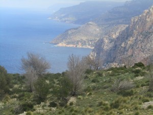 IMG_5077 (Medium)
